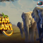African Elephant Pragmatic