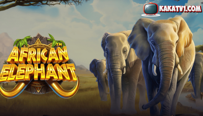 African Elephant Pragmatic