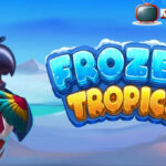 Frozen Tropics Pragmatic
