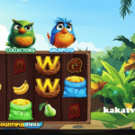 kakatv1