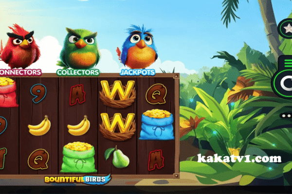 kakatv1