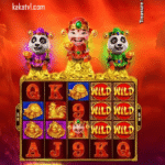 kakatv1