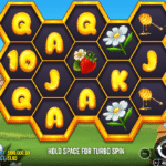 kakatv1